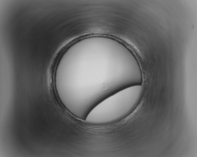 X0000102281070200807250936