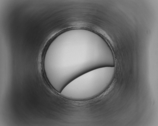 X0000102281071200807250936