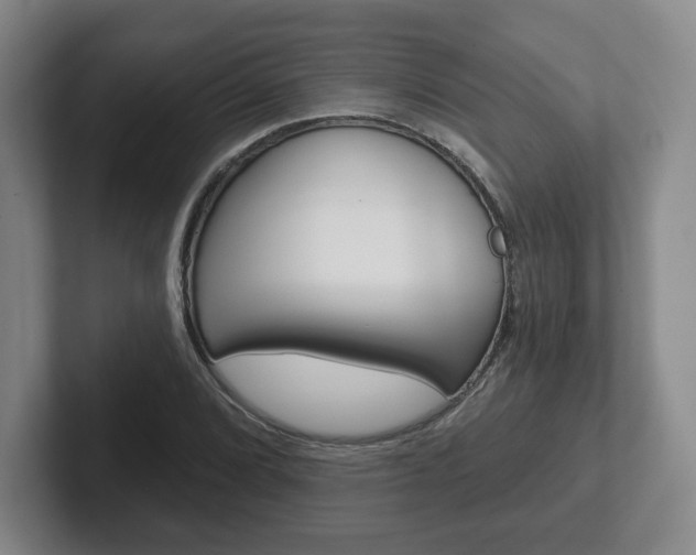 X0000102281072200807250936