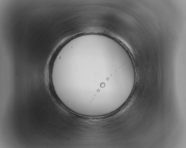 X0000102281075200807250936