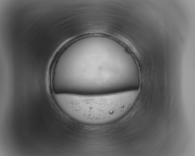 X0000102281076200807250936