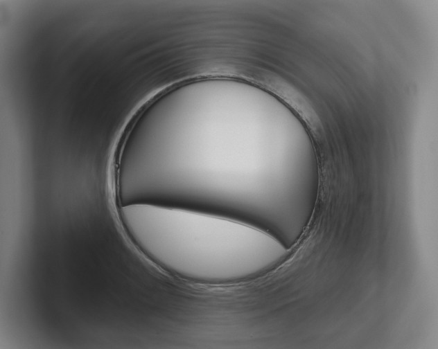 X0000102281084200807250936