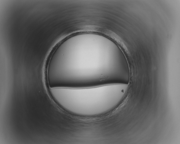 X0000102281085200807250936