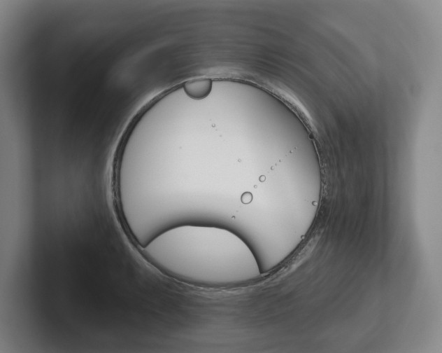 X0000102281087200807250936