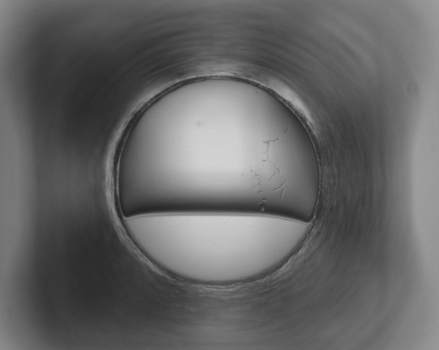 X0000102281088200807250936