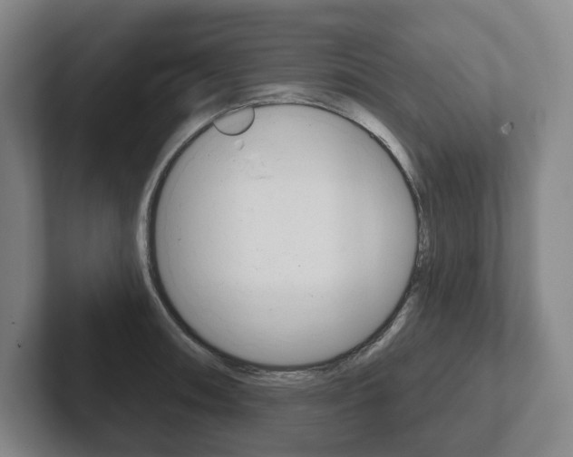 X0000102281090200807250936