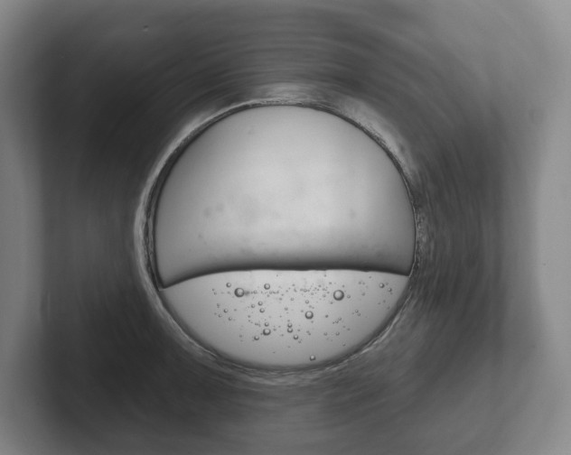 X0000102281091200807250936