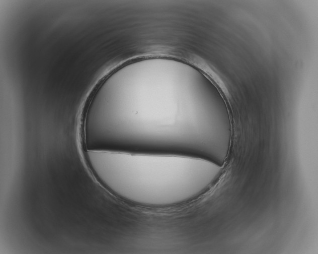 X0000102281093200807250936