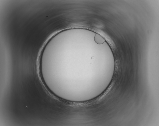 X0000102281094200807250936