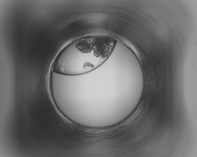 X0000102281095200807250936
