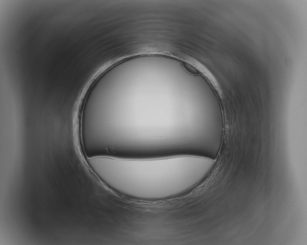 X0000102281096200807250936