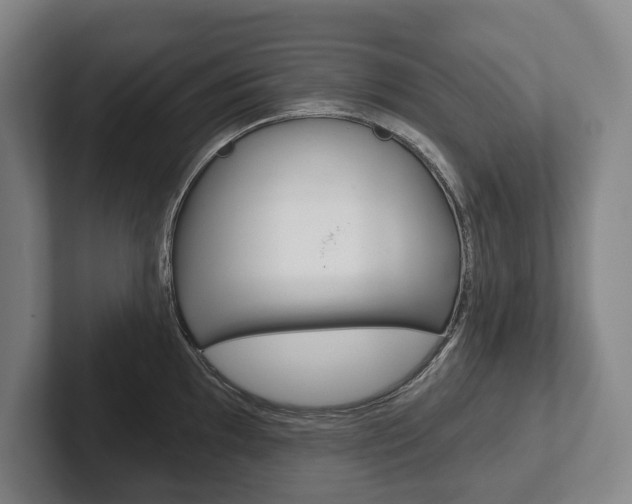 X0000102281097200807250936