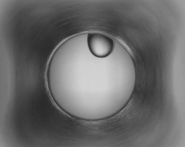 X0000102281100200807250936