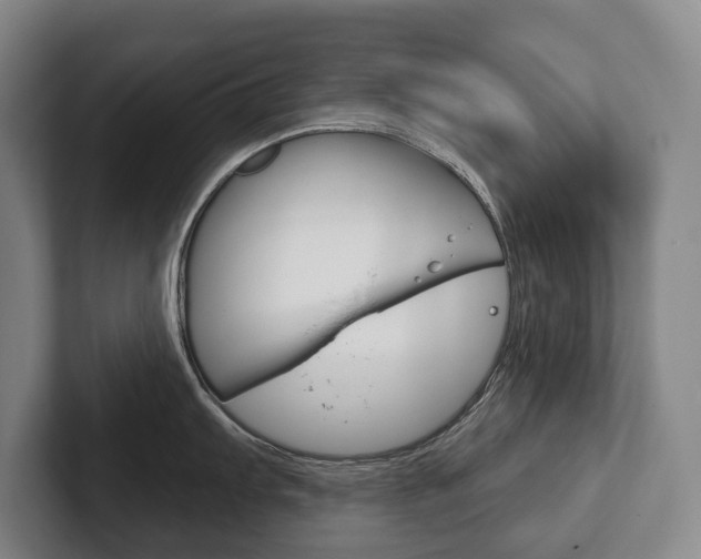 X0000102281103200807250936