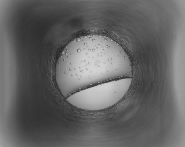 X0000102281105200807250935
