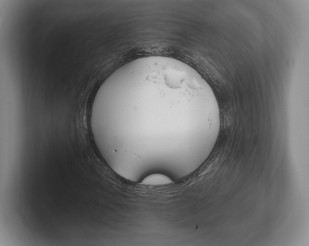 X0000102281106200807250935