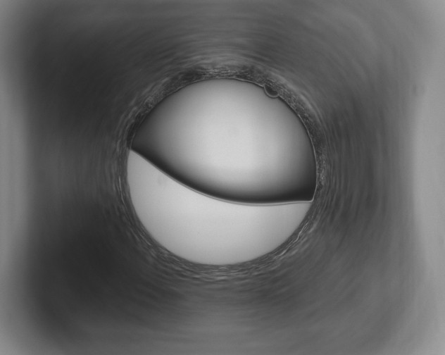 X0000102281108200807250935