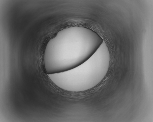 X0000102281109200807250935