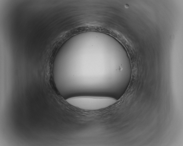 X0000102281110200807250935