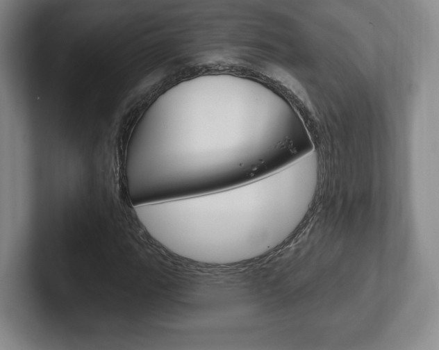 X0000102281111200807250935