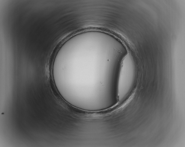 X0000102281113200807250935