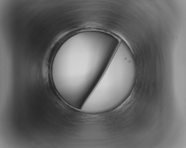 X0000102281115200807250935