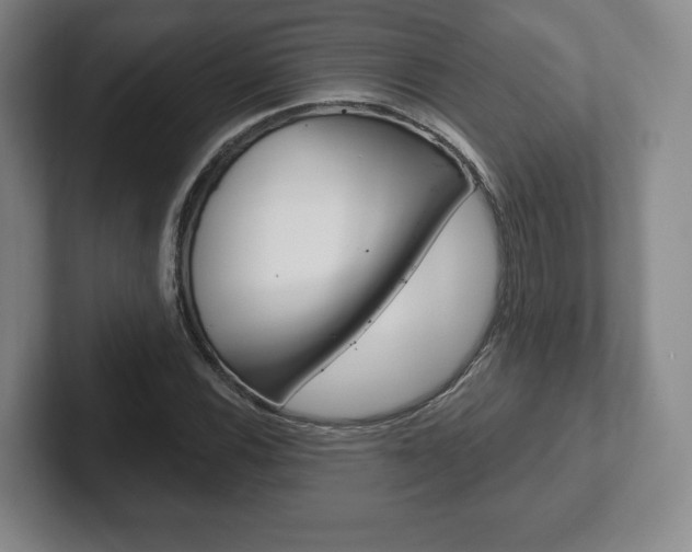 X0000102281116200807250935