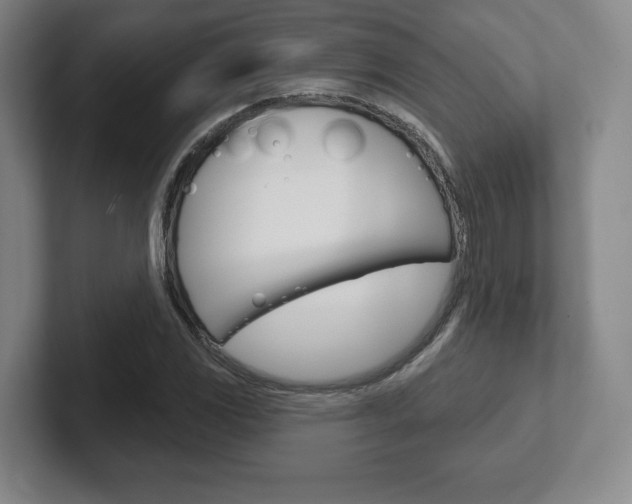 X0000102281117200807250935