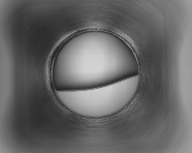 X0000102281120200807250935
