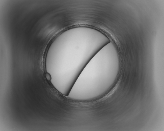X0000102281121200807250935