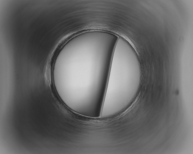 X0000102281123200807250936