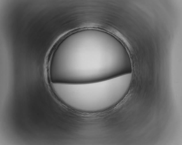 X0000102281124200807250936