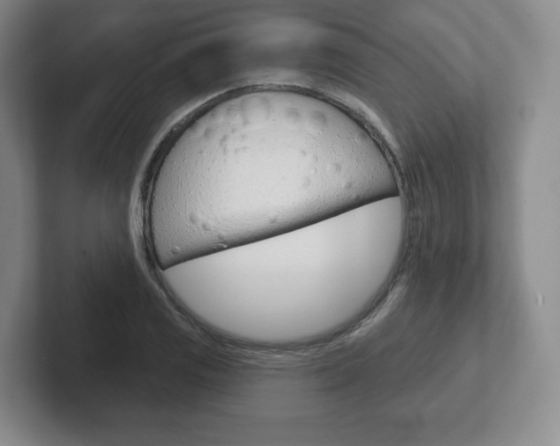 X0000102281125200807250936