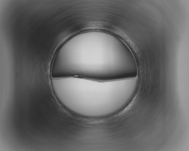 X0000102281129200807250936