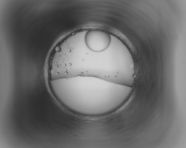 X0000102281130200807250936