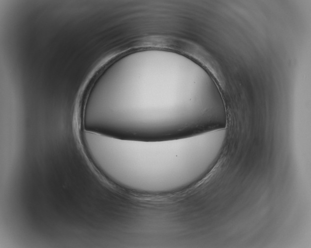 X0000102281131200807250936