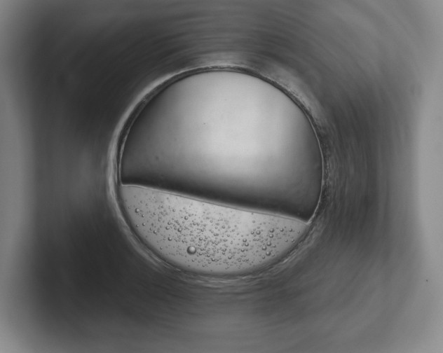 X0000102281132200807250936