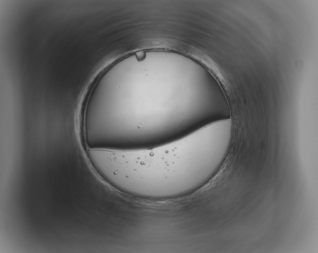 X0000102281135200807250936