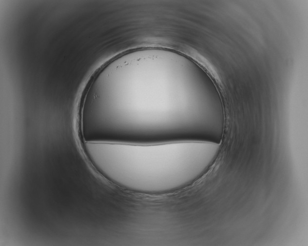 X0000102281136200807250936