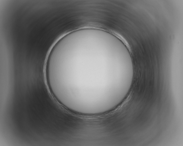 X0000102281138200807250936