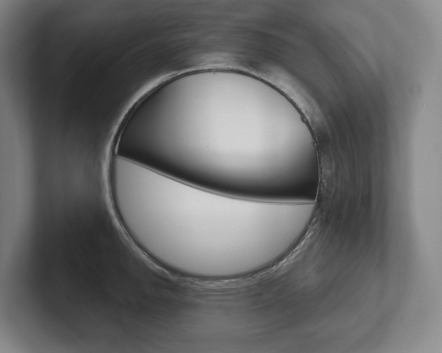 X0000102281142200807250936