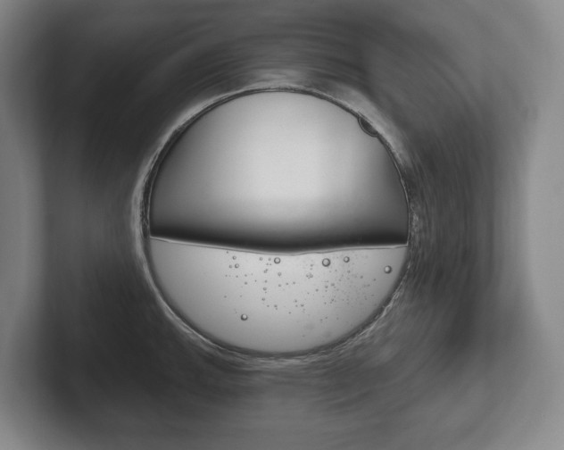 X0000102281143200807250936