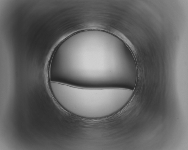 X0000102281144200807250936
