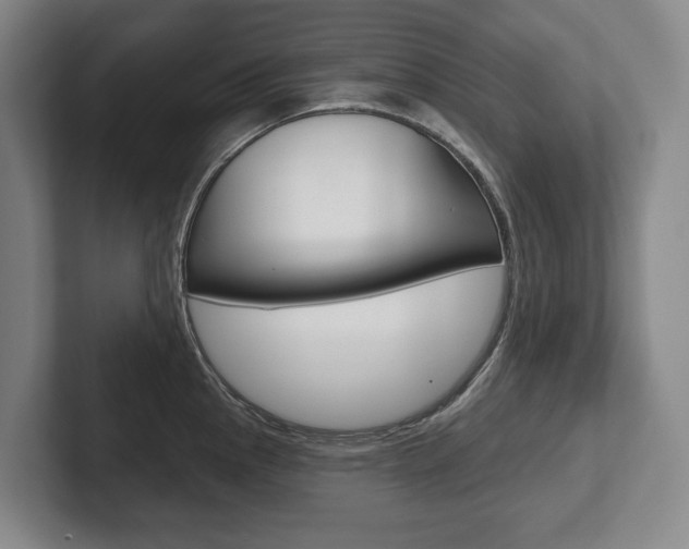 X0000102281145200807250936