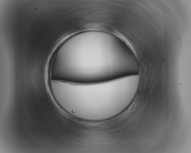 X0000102281147200807250936