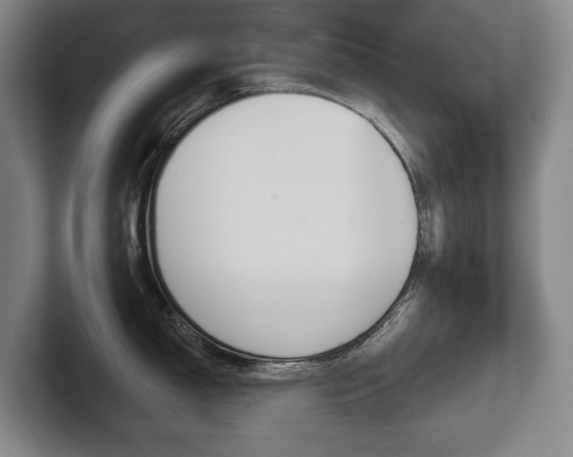 X0000102281150200807250936