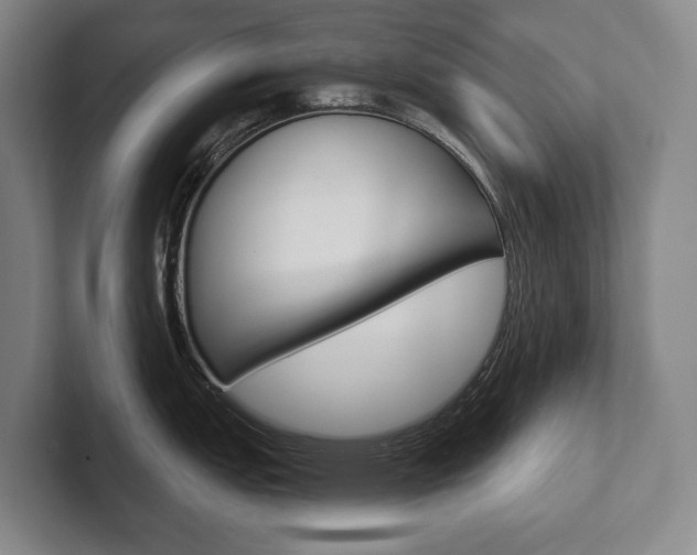 X0000102281151200807250936