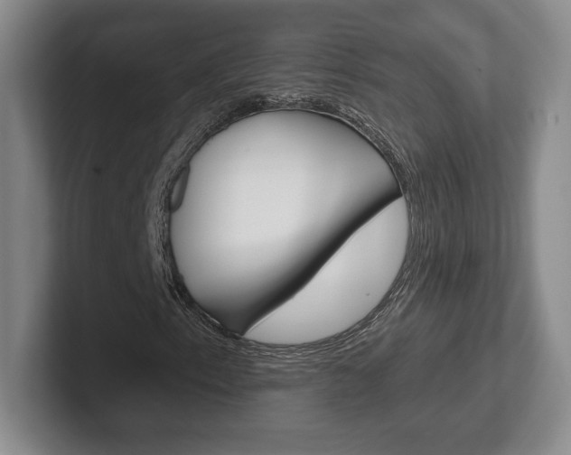 X0000102281153200807250935