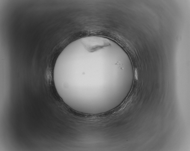 X0000102281155200807250935