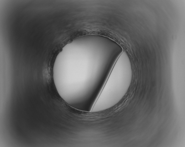 X0000102281156200807250935